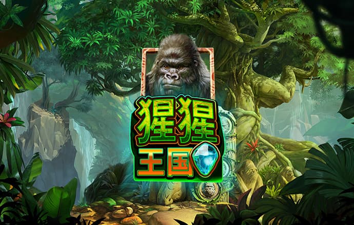 6686体育官网
